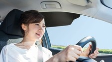 Blackout Sun Visor Sunshade Extender for Car Window Windshield Sun Shade Anti...