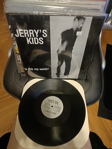 Jerry's Kids – Is This My World? Lp Vinyl Usa 1990 Reissue Punk Hardcore - Picture 8 of 9