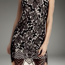 Forever 21 Fashion Floral Lace Cocktail Contrast Sheath dress Nude Black Lg Nwt.