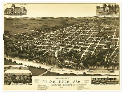 Tuscaloosa, Alabama Aerial Map circa 1824 Vintage View Poster, Large Art Print