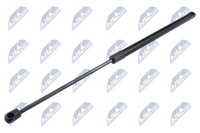 Heckklappen DäMpfer Gasfeder Kofferraum NTY AE-FT-046 FüR Lancia Ypsilon CNG 312