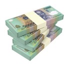 5,000,000 Vietnamese Dong Currency | 10 x 500,000 VND Banknotes | USA Shipping 