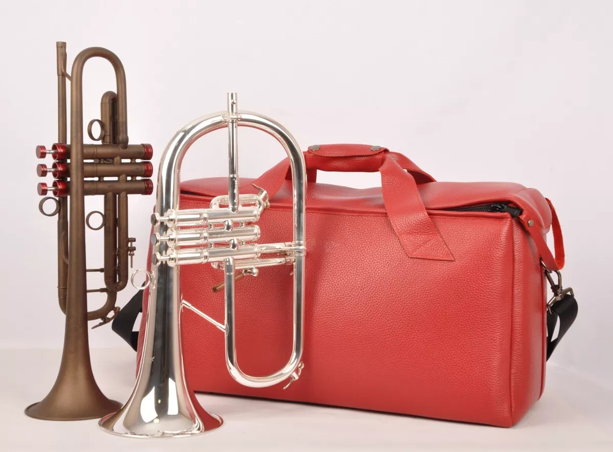 Best cornet gig bag clearance