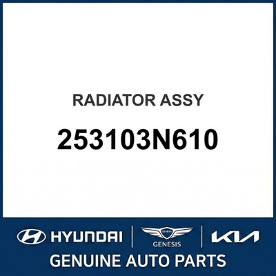 2010-2013 Hyundai Equus Kühlerbaugruppe OEM Neu 253103N610