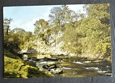 Postcard: Bolton Woods Wooded Gorge River J. Arthur Dixon~ Wharfedale, Yorkshire