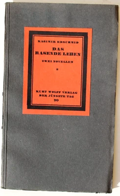 35014 Kasimir Edschmid Das rasende Leben  Kurt Wolff Verlag 1915 Der jüngste Tag - Bild 1 von 2