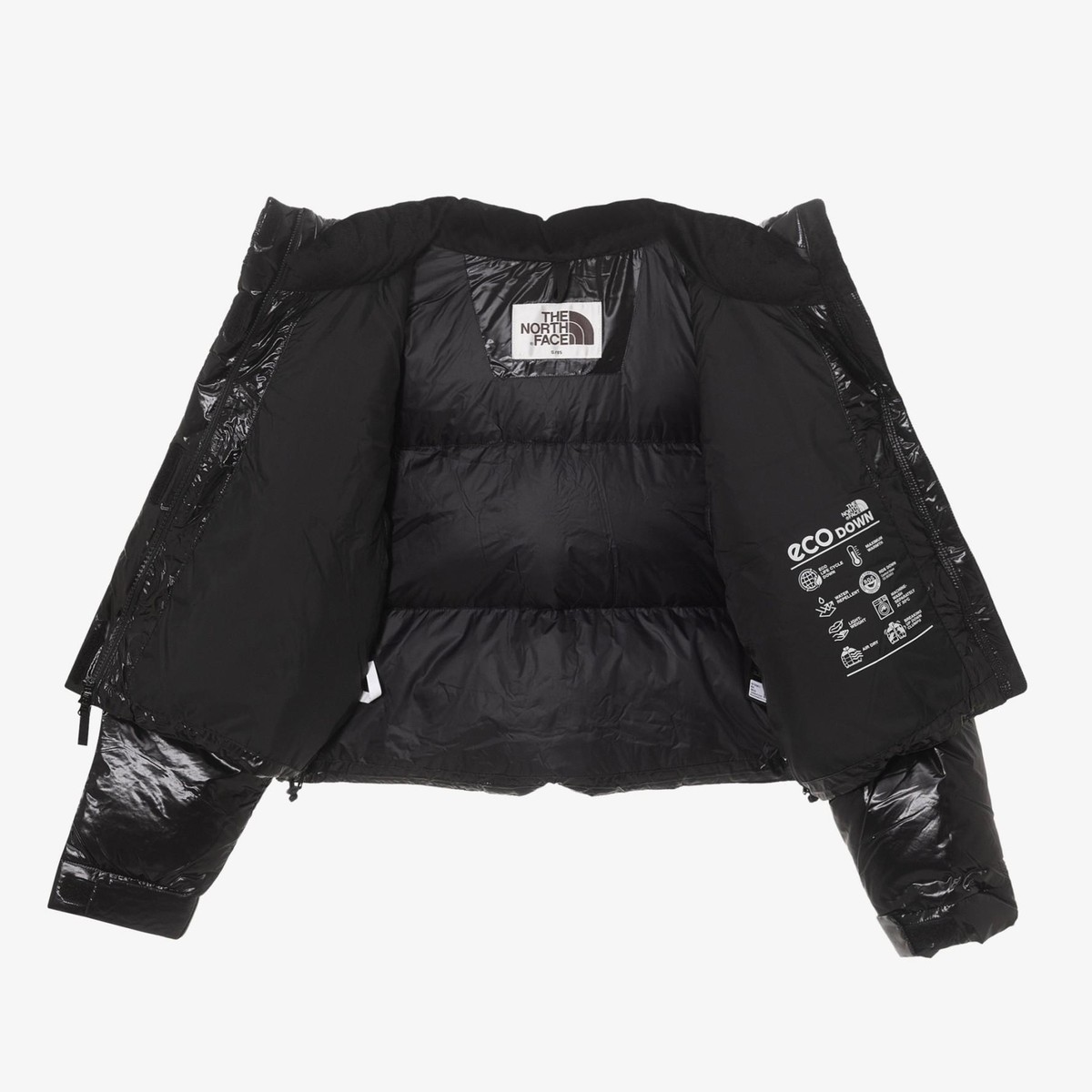 ★THE NORTH FACE★ Women's Glossy Elberon RDS Down Jacket NJ Genuine The North Face Womens GLOSSY ELBERON RDS DOWN JACKET