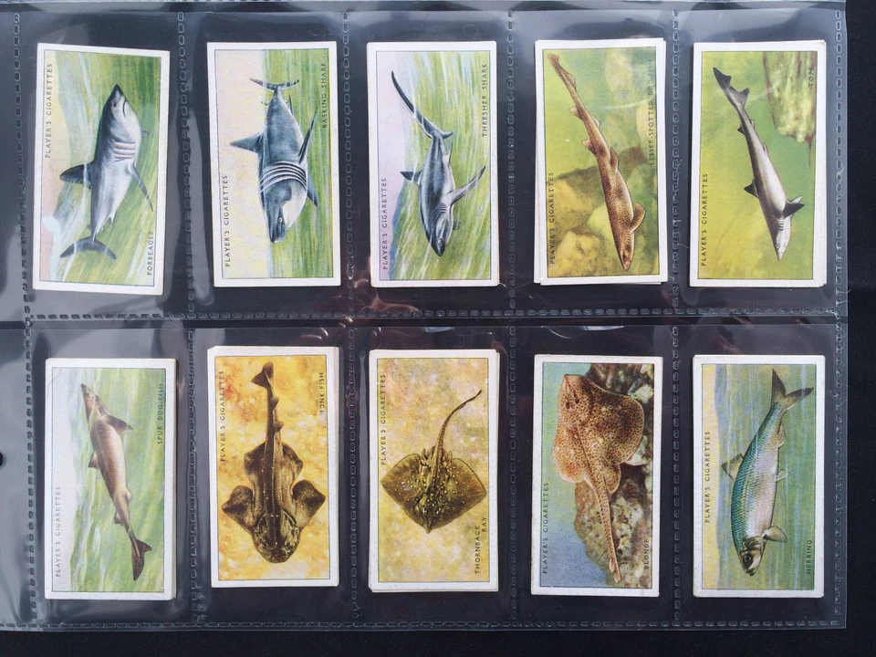 PLAYER'S - SEA FISHES 1935 (G/F) ***PICK THE CARDS YOU NEED*** - Image 2 of 4