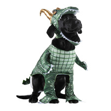 Loki Pet Classic Costume - Morris Costumes