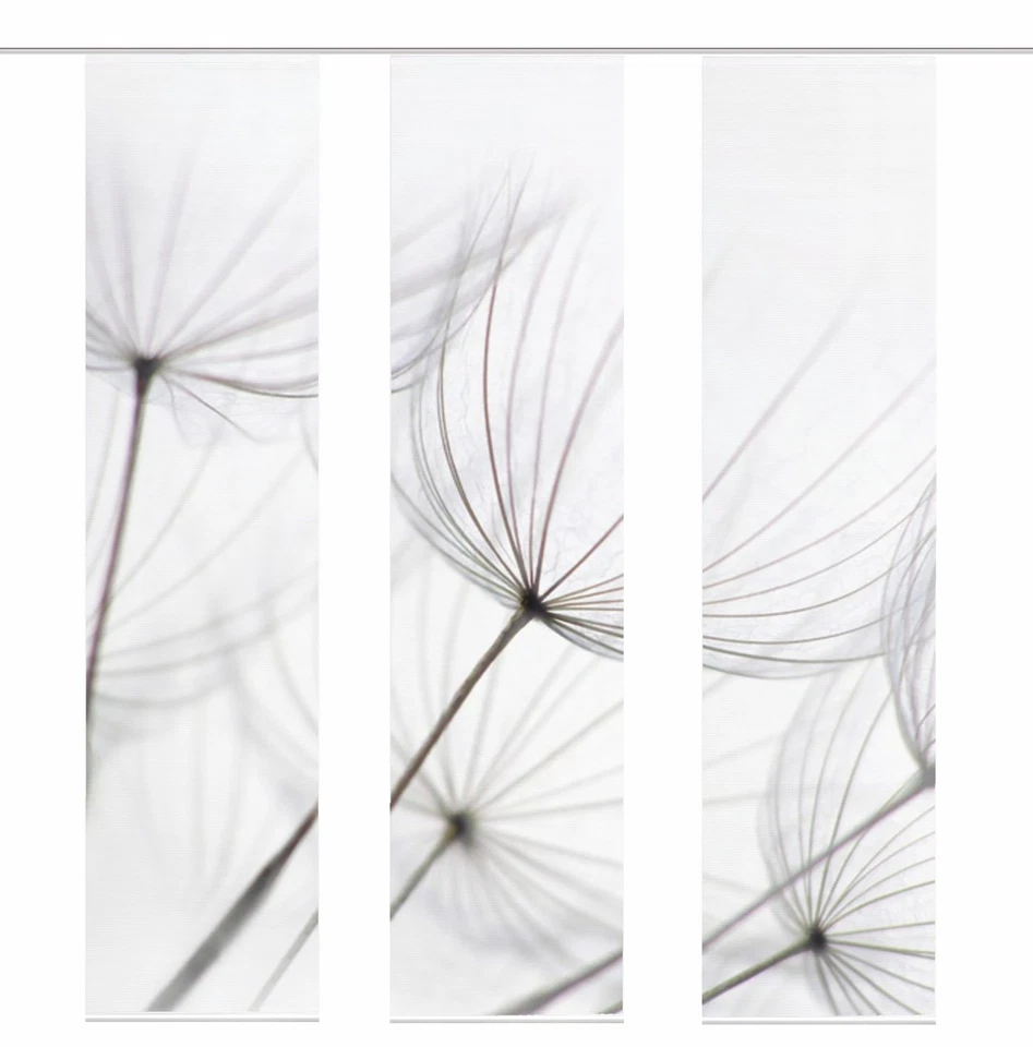 VISION S 3er-Set Schiebegardinen STRELIA, halbtransparent, Höhe 260 cm, grau - Bild 2 von 3