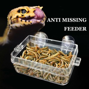 Suction Cup Gecko Feeder Dish Ledge Iguana Lizard Reptile Food