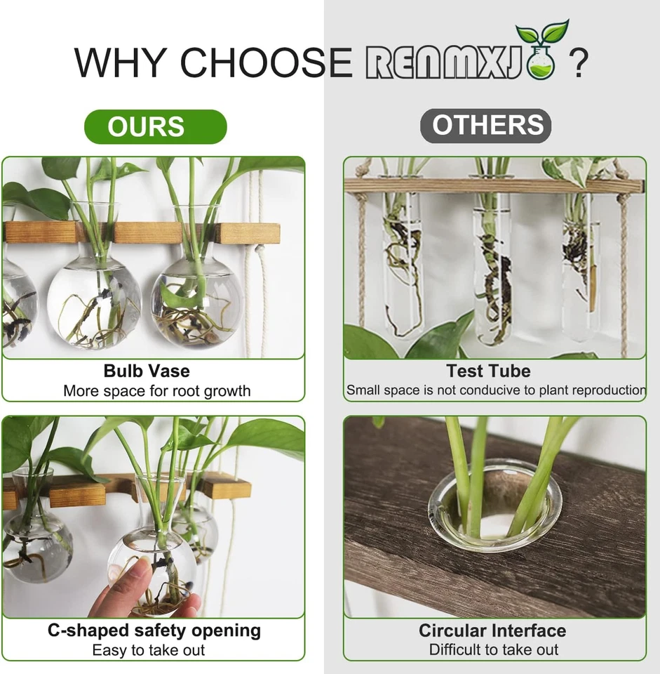 Estación de Propagación de Plantas Colgante de Pared, Terrario de Plantas con Sta de Madera de 2 Niveles Foto 4 de 4