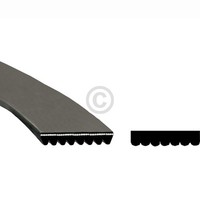 Riemen 1938 Ph 7 5020582000 Aeg, Electrolux, Juno, Zanussi