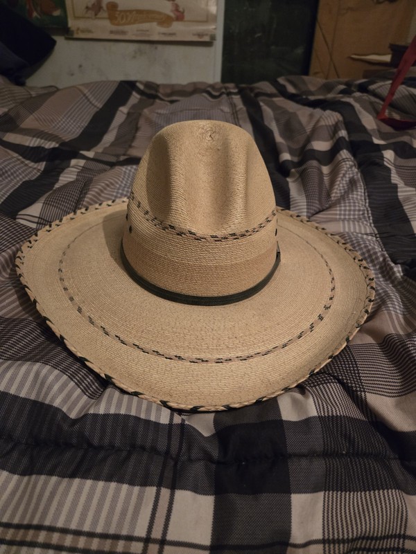 Beige Palm Western Hat  7 1/4