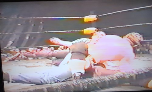 RCA T-120 VHS CZW Pyramid Of Hell 99 Nick Gage Zandig Lobo Combat Zone Wrestling - Picture 6 of 24