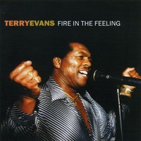 Terry Evans - Fire In The Feeling - Cd - F6999Z