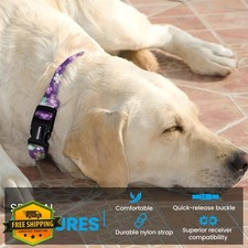 1" Nylon E Collar Strap Rainbow Large In Ground Fence