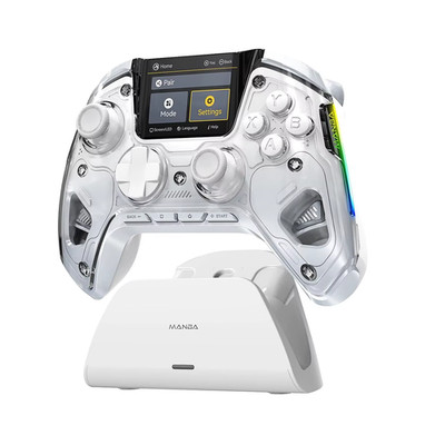 Manba One V2 Wireless Controller Switch PC iOS Hall Effect RGB & Ladestation DE