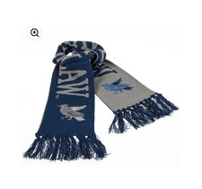 Wizarding World of Harry Potter Universal Studios Ravenclaw Reversible Scarf