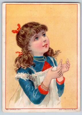 1888 WILSON-CASS CO*FAULTLESS BISCUITS CAKES CRACKERS PHILADELPHIA*GAST LITHO