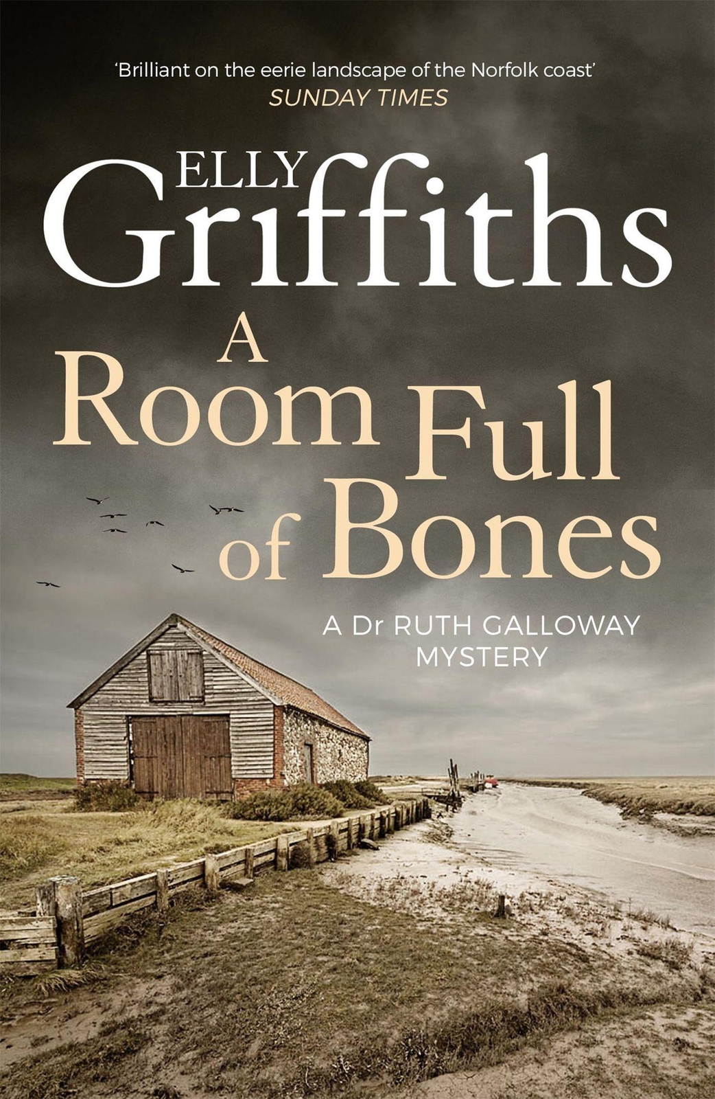 Thumbnail - A Room Full Of Bones | The Dr Ruth Galloway Mysteries 4 | Elly