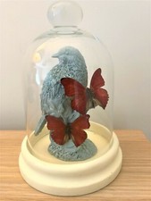 Butterflies in glass dome. Butterfly Taxidermy butterfly gifts. 