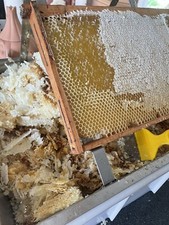 reiner Bienenwachs Entdecklungswachs Imkerei Wachs