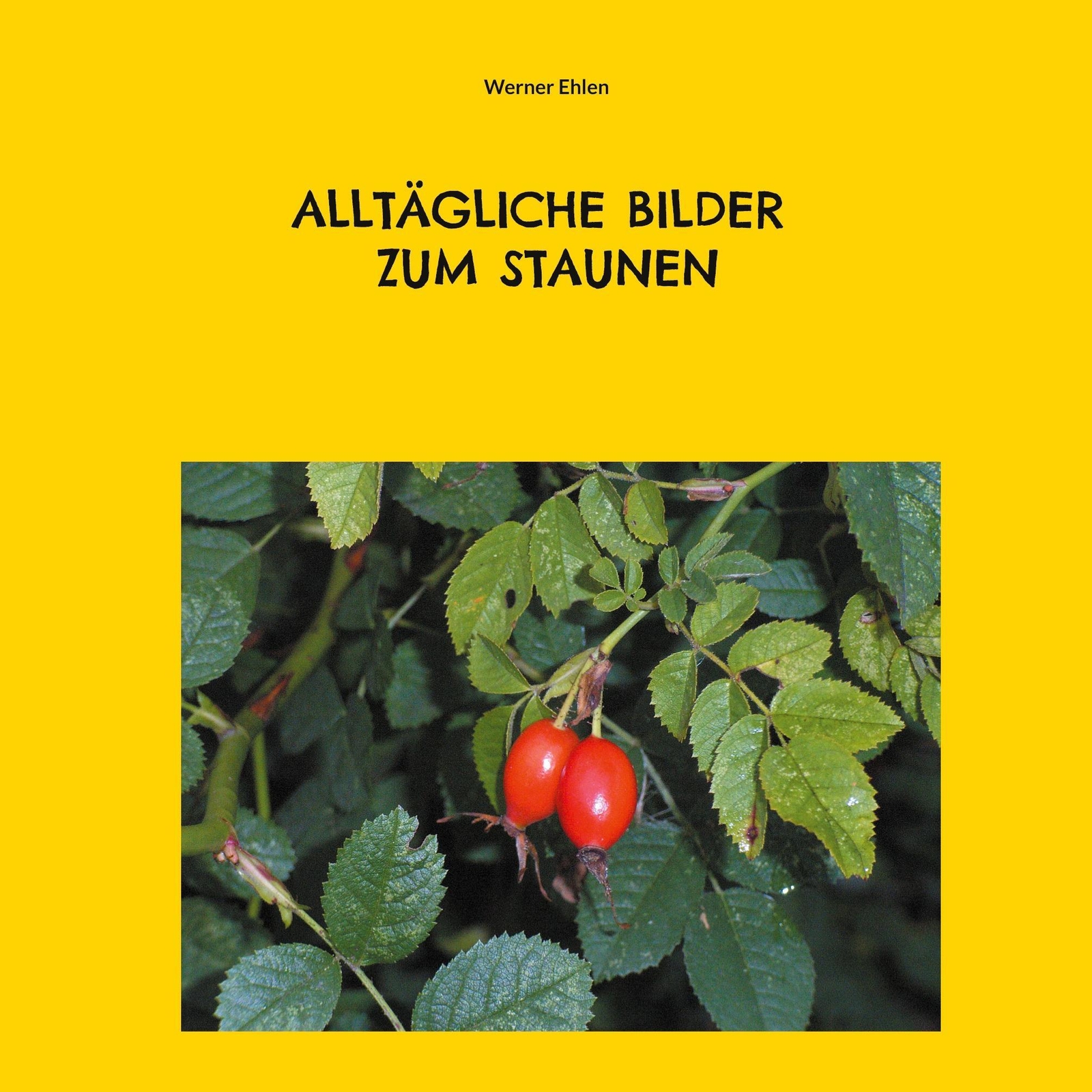 Thumbnail - Alltägliche Bilder Zum Staunen | Werner Ehlen | Taschenbuch |