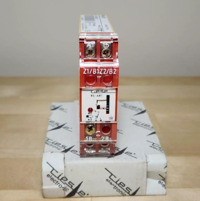 Riese AR.0501.2106 RS-AR1 Off-Delay Timer Relay 24VAC/DC 3-60sec