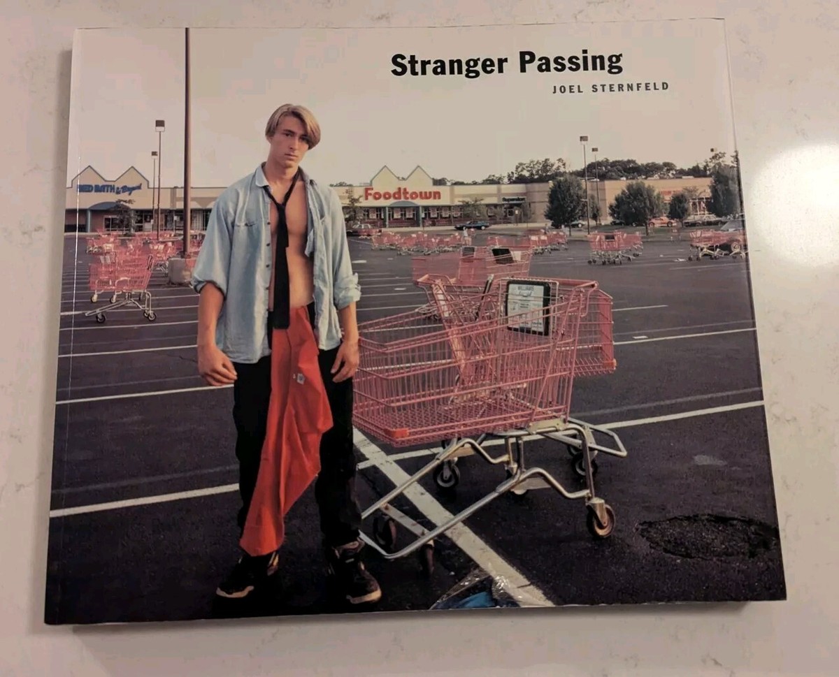 アート・デザイン・音楽 Stranger Passing / Joel Sternfeld Stranger