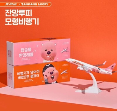 JEJU Air B737-800 1/200モデル Customized Jeju Air B737 Max 8 1: 200 20cm Model Plane Business