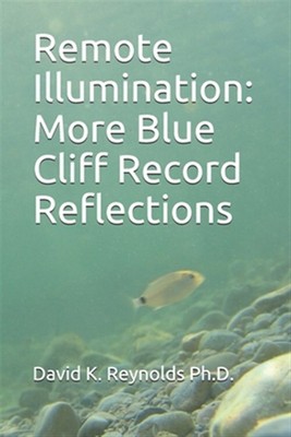 Remote Illumination: More Blue Cliff Record Reflections by Reynolds Ph. D., D...