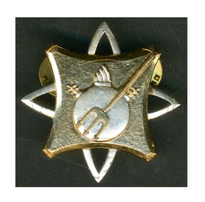 French Navy Mine Clearance Diver Badge by Drago  L305