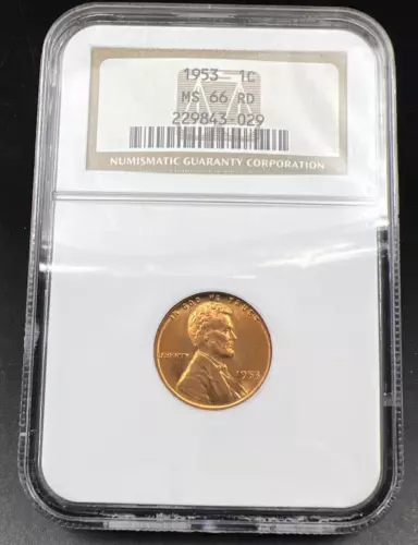 1953 P Lincoln Wheat Cent Penny Coin MS66 NGC Red RD Brown Label Gem BU #029