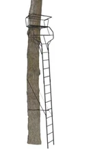 18' Black Steel 2 Person Hunting Ladder Treestand Flip Back Padded Shooting Rail