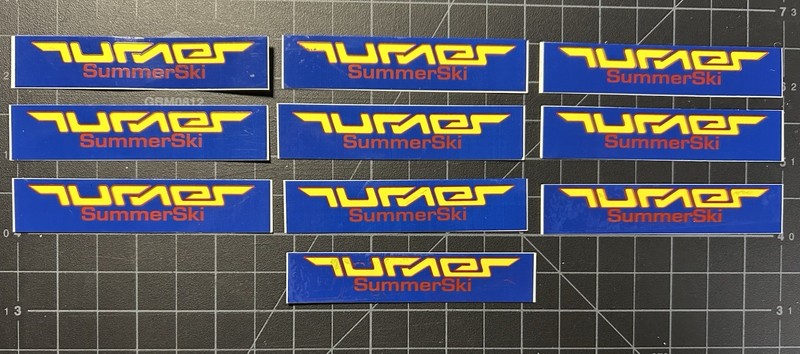 Vintage 2003 Turner SummerSki Sticker - Qty 10