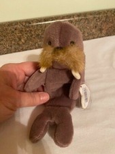 TY Beanie Baby JOLLY the Walrus Retired with Tag Errors Very Rare Collectible