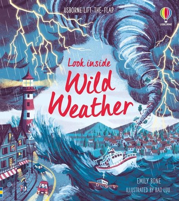 Look Inside Wild Weather von Emily Bone Brett Buch Buch