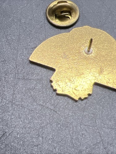 Vintage Veteran Foreign Wars VFW Native American Indian Chief Rainbow Lapel Pin - Picture 3 of 4