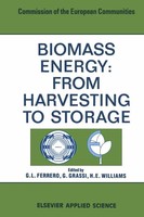 G. L. Ferrero | Biomass Energy | Taschenbuch | Englisch (2012) | Xii | Springer