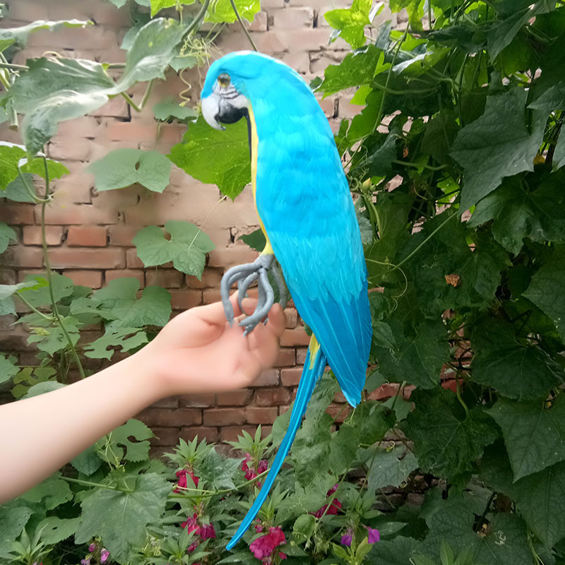 Picture 1 of 4