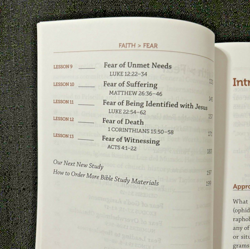 2 CONNECT 360: All the Bible for All of LIfe Faith Fear Study & Teaching Guides - Picture 5 of 7