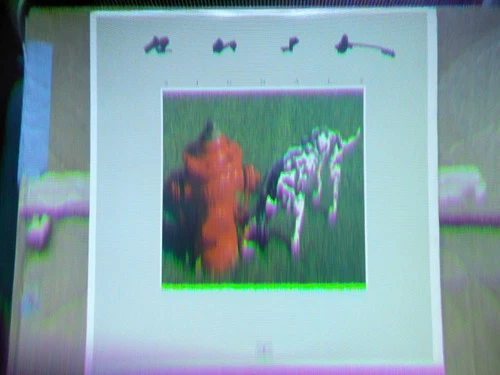 Vintage Vinyl LP RUSH "SIGNALS" Polygram Records1982 SRM-1-4063