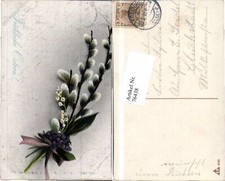 76438,Ostern Palmkätzchen Blumen gel Freiburg Elbe