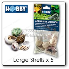 Hobby NATURAL HERMIT CRAB SEA SHELLS SET Jumbo Variety Marine Reef Fish Aquarium