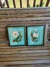 2 Vintage Framed Prints Under Glass Magnolia Flowers Floral Aqua