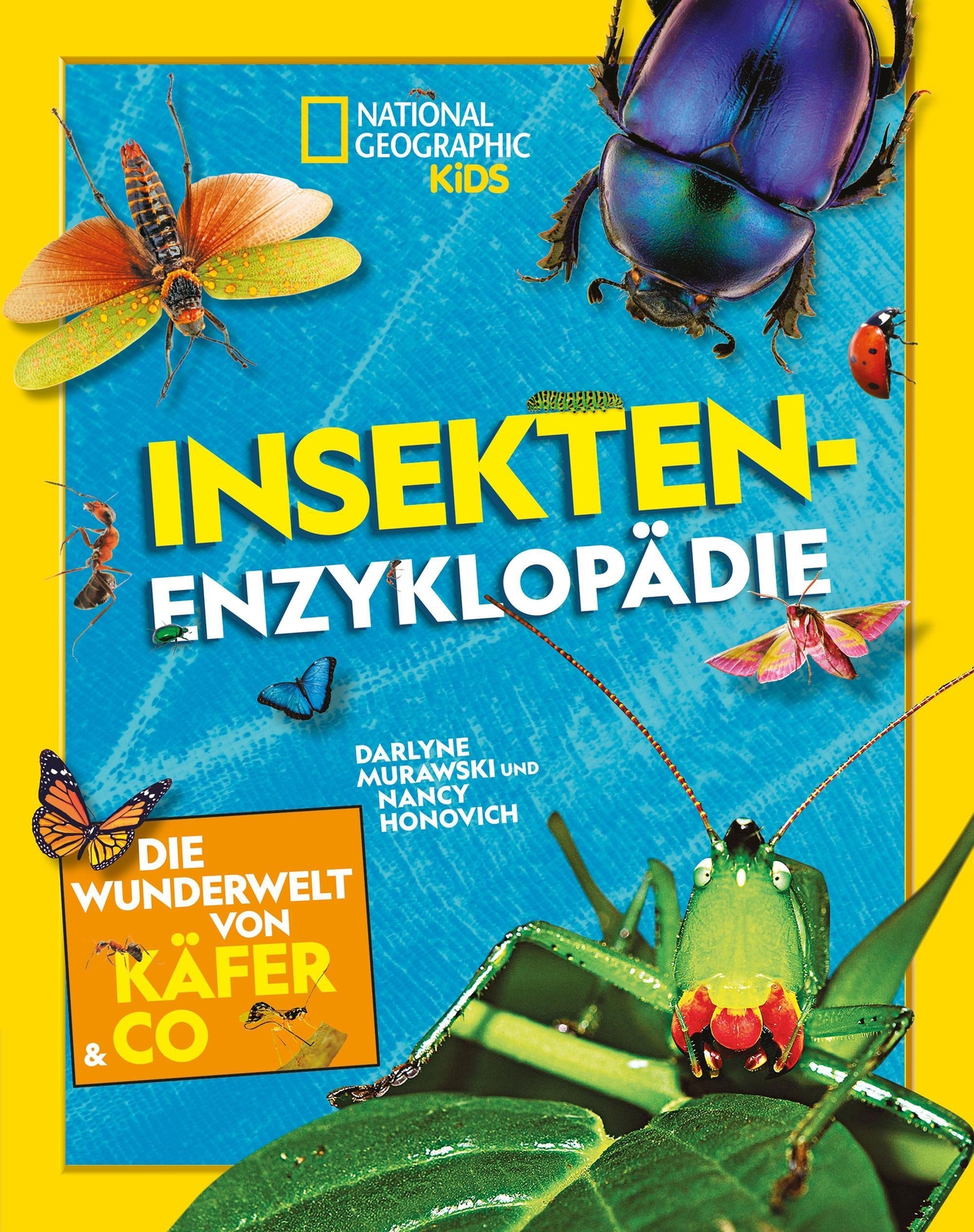 Insekten-enzyklopädie: Die Wunderwelt Von Käfer & Co. Nancy Honovich