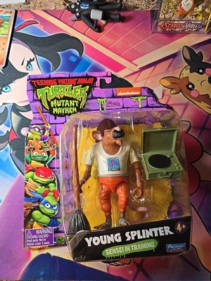 Young Splinter Sensei In Training
