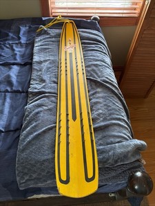 Surfer Brunswick Corporation Sled