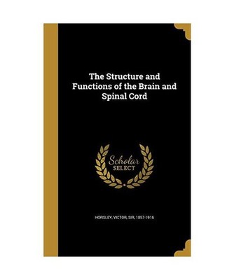 The Structure and Functions of the Brain and Spinal Cord